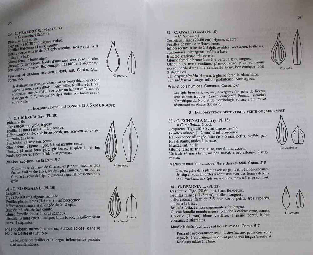 Flore et cartographie des carex de France (contenu)