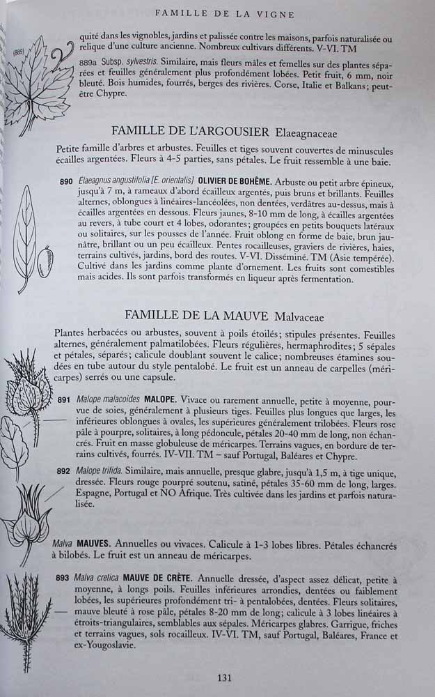 Toutes les fleurs de Méditerranée (Contenu)