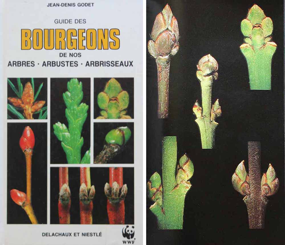 Le guide des bourgeons de Jean-Denis Godet (couverture)