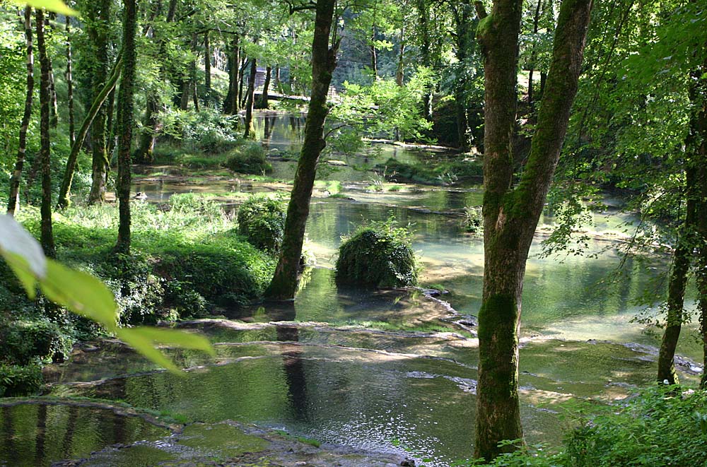 La Seille à Baume-Les-Messieurs