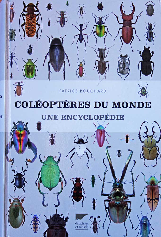 couverture du livre Coléoptères du monde : une encyclopédie<br>de Patrice Bouchard