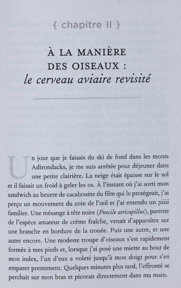 Exemple d'une page du livre Le génie des oiseaux<br>de Jennifer Ackerman