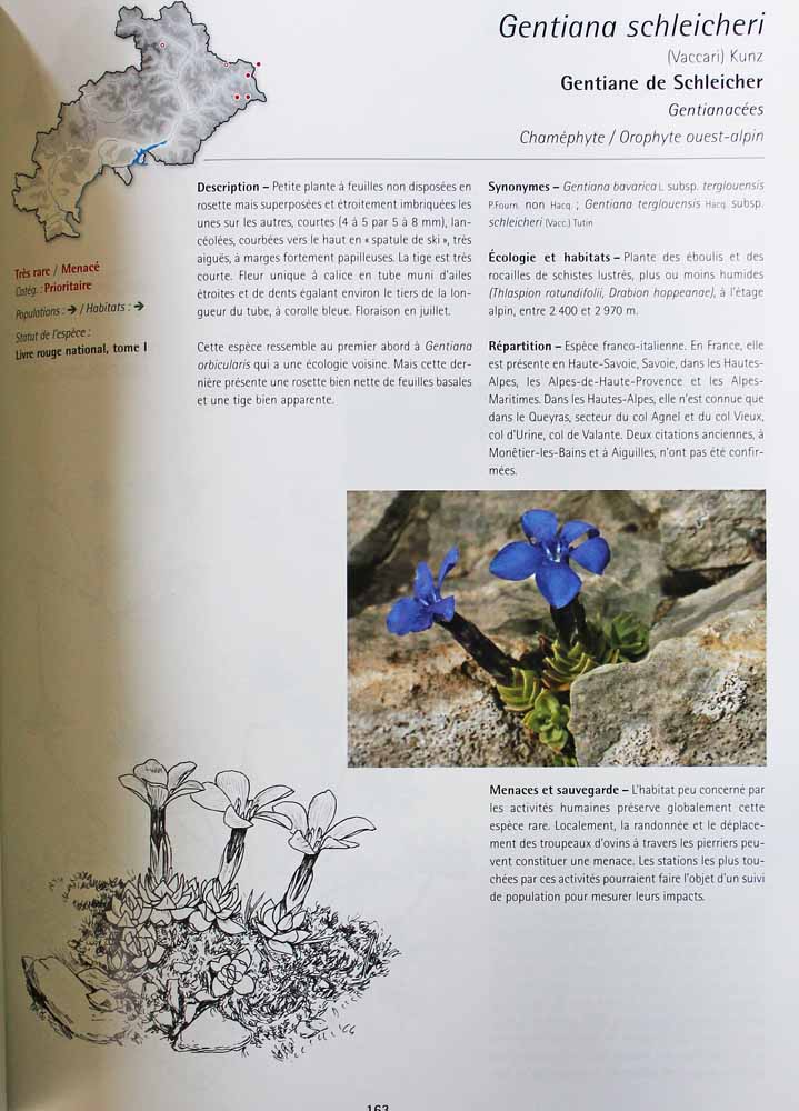 Atlas des plantes rares et protégées des Hautes-Alpes (contenu)