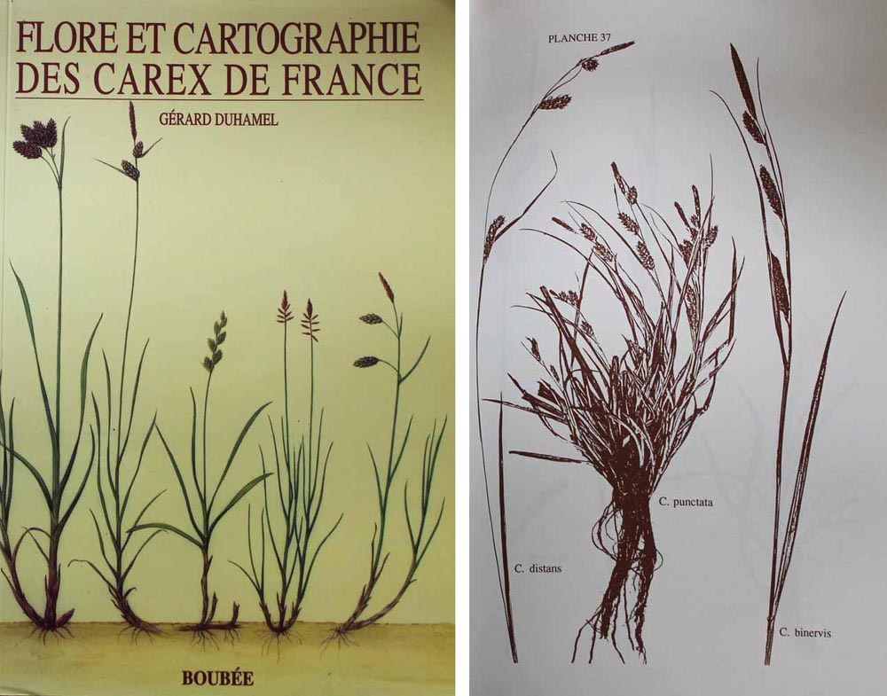 Flore et cartographie des carex de France (couverture)