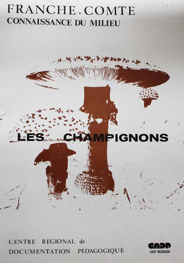 Les champignons de M. Poulain (couverture)