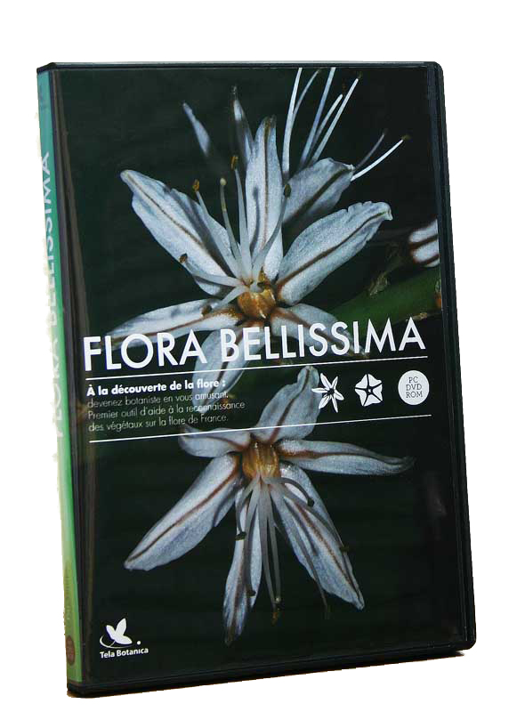 Flora Bellissima de Thierry Pernot (Système expert) (DVD)