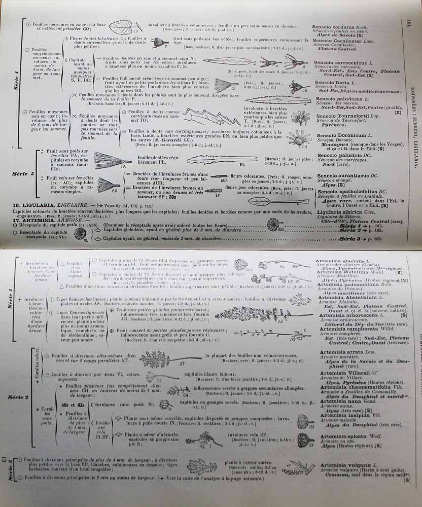 Flore complète portative de la France de Gaston Bonnier (Contenu)