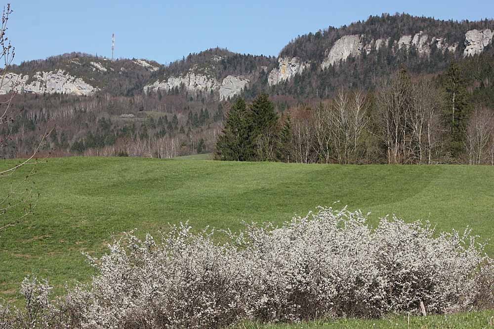 Paysage du Surmontant depuis Larrivoire