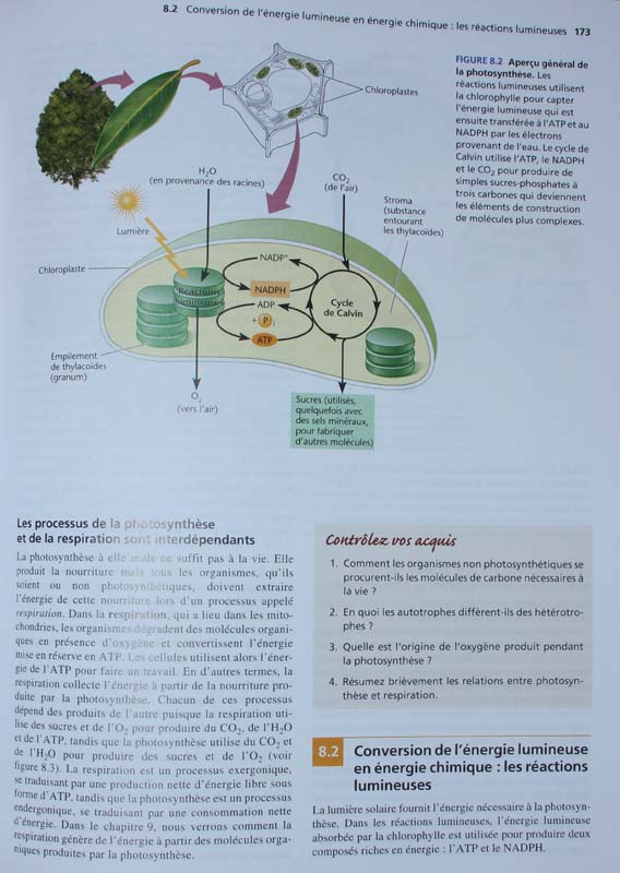 Livre de Biologie végétale de Murray Nabors<br>Page sur la photosynthèse