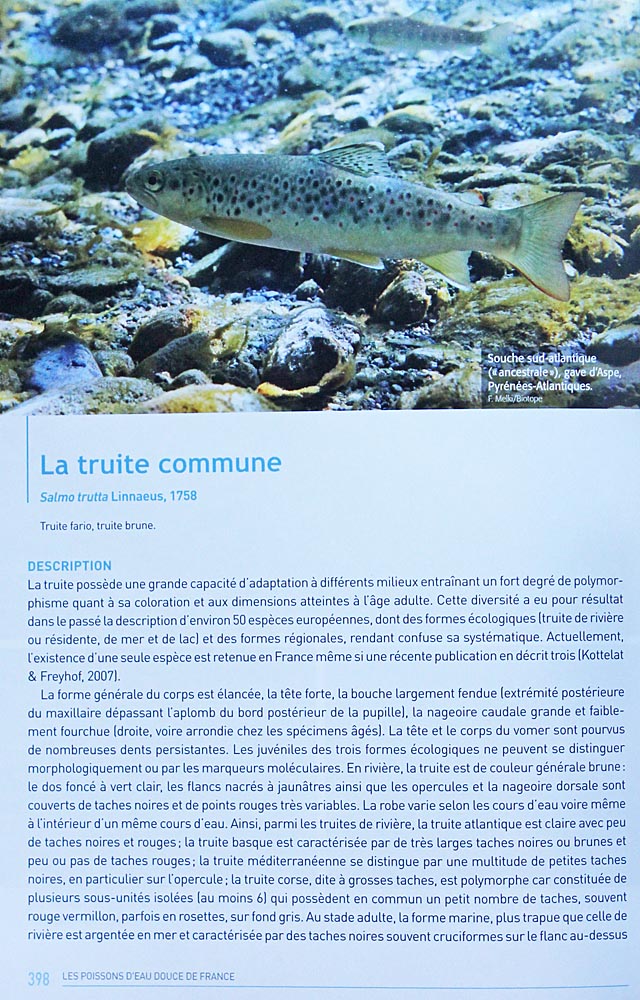 livre Les poissons d'eau douce<br>aux éditions Biotope<br>Muséum d'histoire naturelle<br>La truite commune