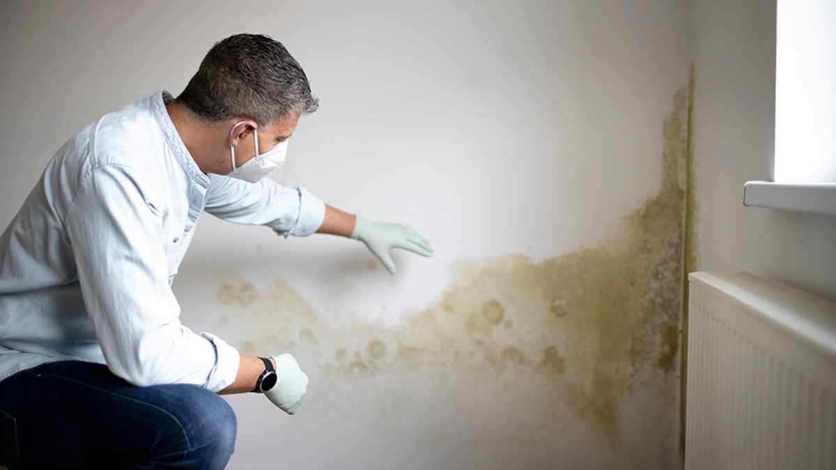 Pourquoi de l’humidité et de la moisissure se forment-elles derrière les meubles ? Une cause souvent ignorée